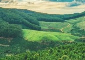 Climate Action: Ipsos’ near-term and net-zero targets validated by the Science Based Targets initiative (SBTi)