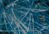 Conflicting Global Perceptions around AI present Mixed Signals for Brands
