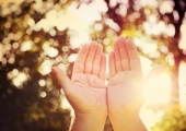 Sustainability Say-Do gap