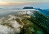Ipsos Sustainability Practice