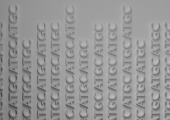 Ipsos | White paper | Genetics | Healthcare