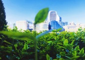 Growing ESG expectations for the financial services sector